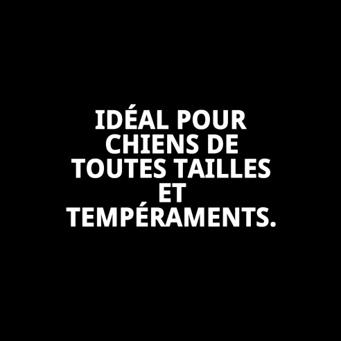 Corde FLEXI NEW CLASSIC M/L 2-5 M - Couleurs Vibrantes