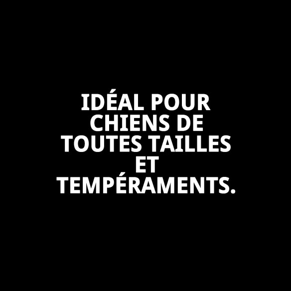 Corde FLEXI NEW CLASSIC M/L 2-5 M - Couleurs Vibrantes