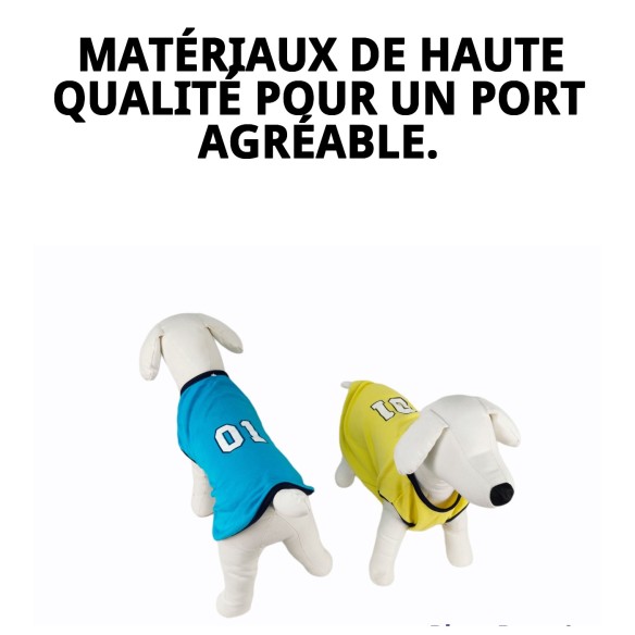 T-shirt Sport pour Chiens - Style et Confort Moly