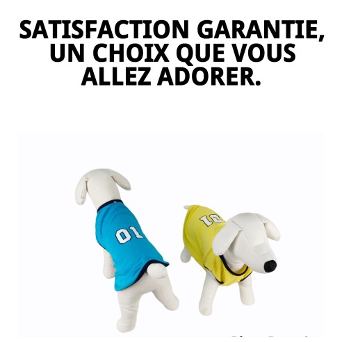 T-shirt Sport pour Chiens - Style et Confort Moly