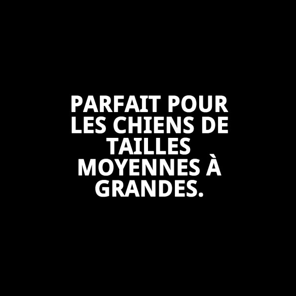 Mordeur en forme d'os en vinyle grand de 18 cm pour votre animal de compagnie.