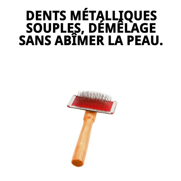 Brosse en Bambou Petite pour le Soin du Pelage des Animaux de Compagnie