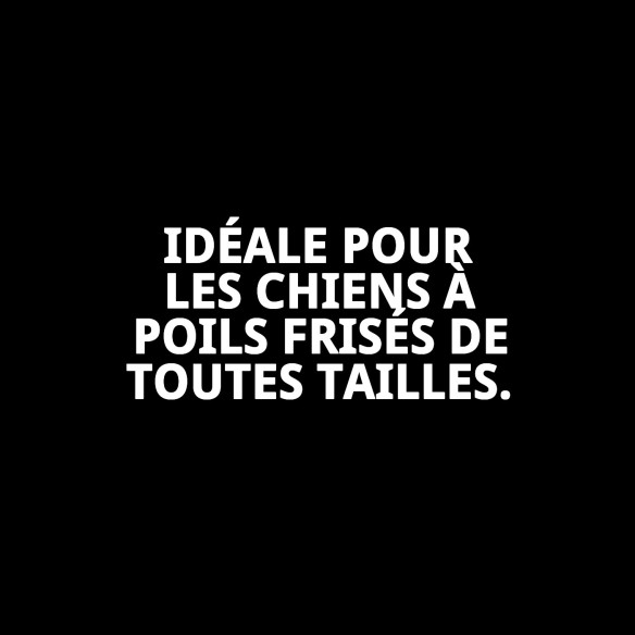 Brosse en Bambou Petite pour le Soin du Pelage des Animaux de Compagnie