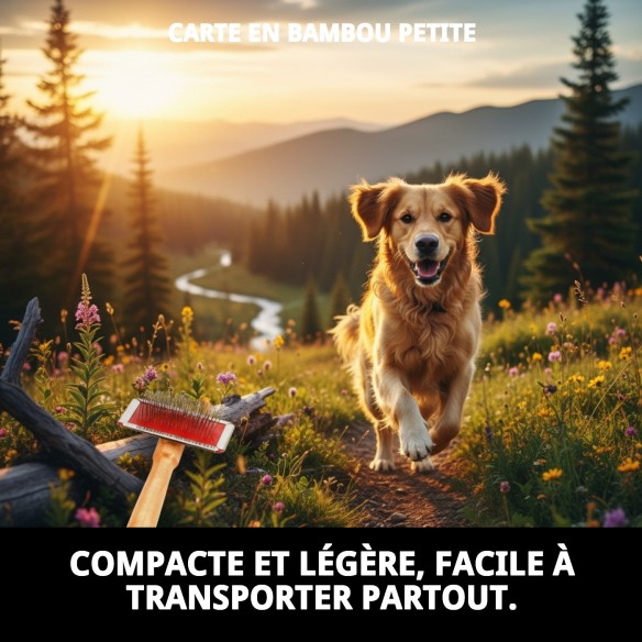 Brosse en Bambou Petite pour le Soin du Pelage des Animaux de Compagnie