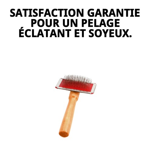 Brosse en Bambou Petite pour le Soin du Pelage des Animaux de Compagnie