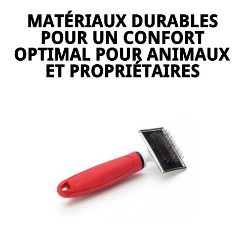 Brosse en bambou petite Moly Confort pour toilettage de animaux de compagnie.