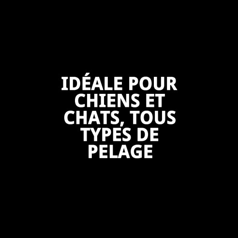 Brosse en bambou petite Moly Confort pour toilettage de animaux de compagnie.