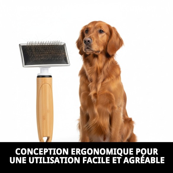 Brosse en bambou petite Moly Confort pour toilettage de animaux de compagnie.
