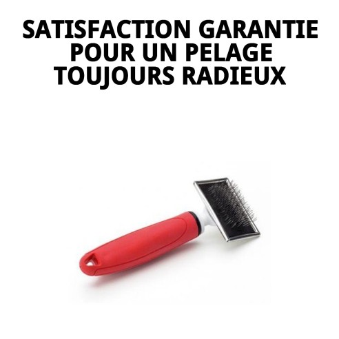 Brosse en bambou petite Moly Confort pour toilettage de animaux de compagnie.