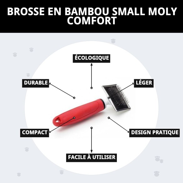 Brosse en bambou petite Moly Confort pour toilettage de animaux de compagnie.