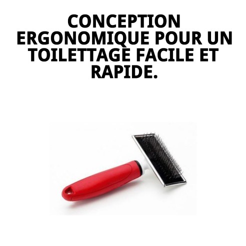 Carde désenredante Moly Confort Moyenne pour animaux de compagnie.