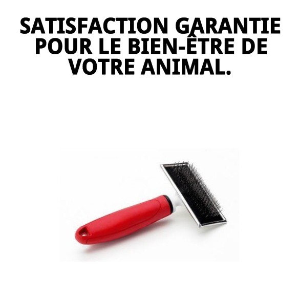 Carde désenredante Moly Confort Moyenne pour animaux de compagnie.