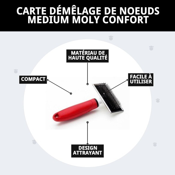 Carde désenredante Moly Confort Moyenne pour animaux de compagnie.