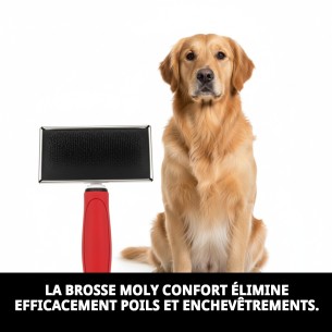 Carde métallique extragrande Moly Confort pour la coiffure des animaux de compagnie. 2