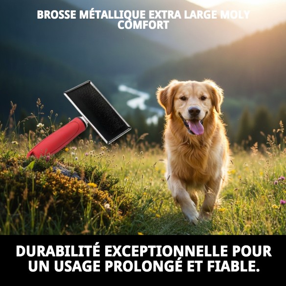 Carde métallique extragrande Moly Confort pour la coiffure des animaux de compagnie.