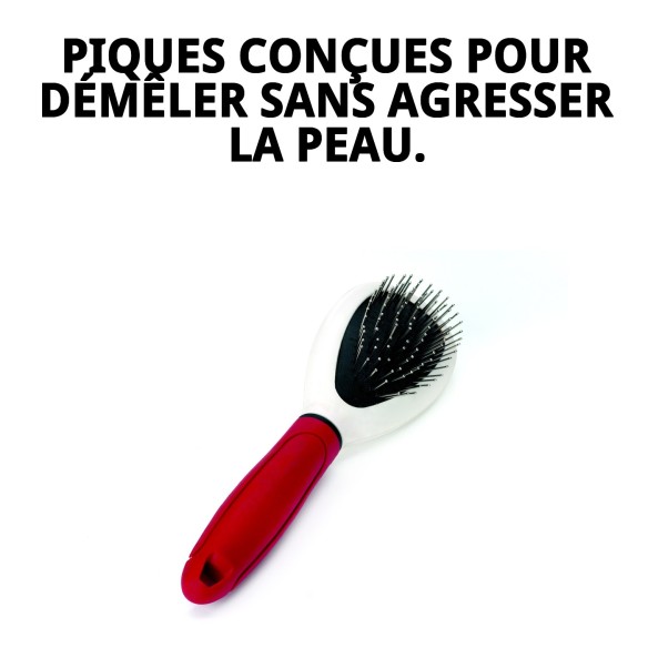 Brosse à Picots Simple Moly Confort pour Animaux - Soin Idéal