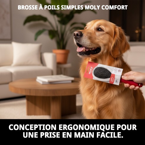 Brosse à Picots Simple Moly Confort pour Animaux - Soin Idéal