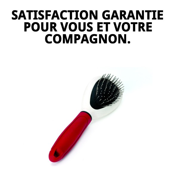 Brosse à Picots Simple Moly Confort pour Animaux - Soin Idéal