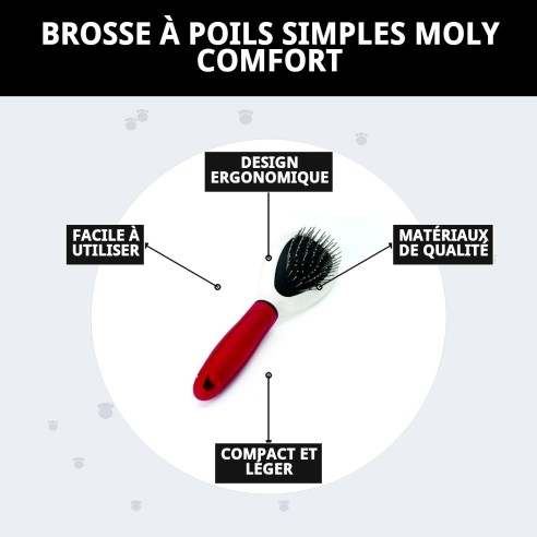 Brosse à Picots Simple Moly Confort pour Animaux - Soin Idéal