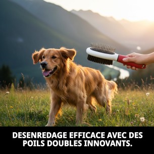 Brosse Double Dents Moly Confort pour le Soin des Animaux de Compagnie 2