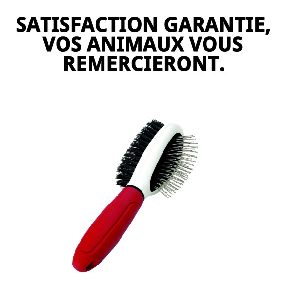 Brosse Double Dents Moly Confort pour le Soin des Animaux de Compagnie