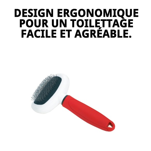 Carde métallique ovale petite Moly Confort pour animaux de compagnie.