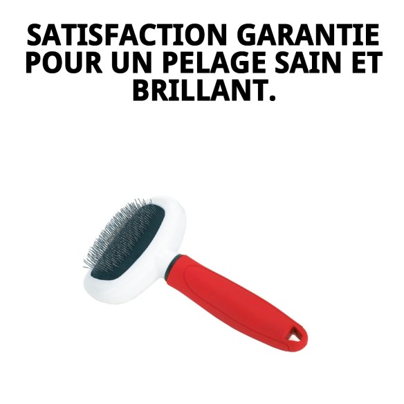 Carde métallique ovale petite Moly Confort pour animaux de compagnie.