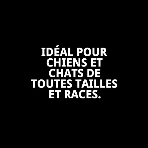 Peigne Grande Moly Confort pour Toilettage de Chiens et Chats