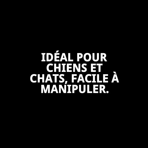 Peigne Anti-Puces Moly Confort - Soins pour Animaux