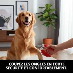 Coupongles Moly Confort : Soin parfait pour vos animaux de compagnie 2