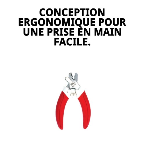 Coupongles Moly Confort : Soin parfait pour vos animaux de compagnie