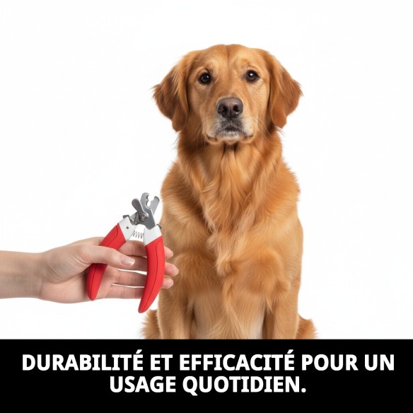 Coupongles Moly Confort : Soin parfait pour vos animaux de compagnie