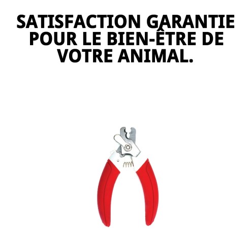 Coupongles Moly Confort : Soin parfait pour vos animaux de compagnie