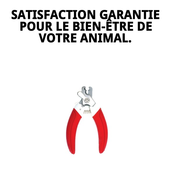 Coupongles Moly Confort : Soin parfait pour vos animaux de compagnie