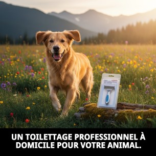 Tondeuse verticale double Moly Confort pour toilettage de animaux. 2