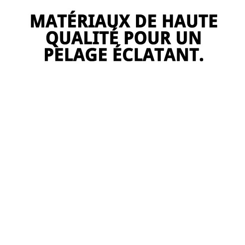 Carde universelle moyenne Moly pour toilettage de animaux.