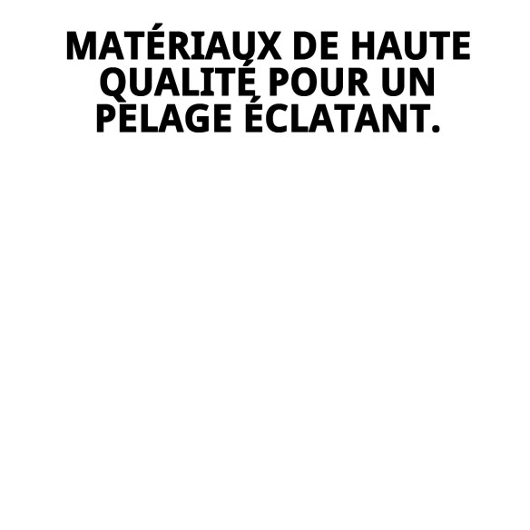 Carde universelle moyenne Moly pour toilettage de animaux.