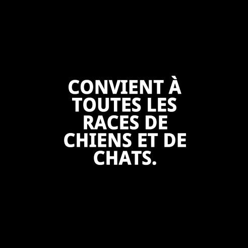 Carde universelle moyenne Moly pour toilettage de animaux.