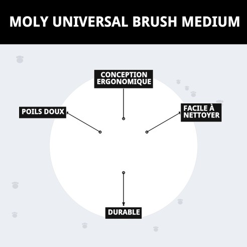 Carde universelle moyenne Moly pour toilettage de animaux.
