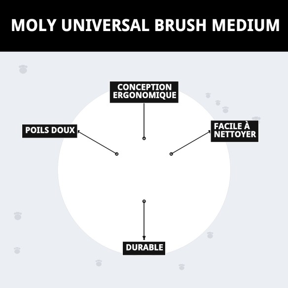 Carde universelle moyenne Moly pour toilettage de animaux.