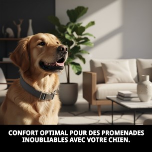 Collier en Nylon Confort pour Chiens 40-65 cm - Confort et Style 2