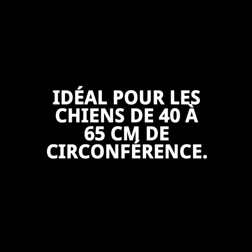 Collier en Nylon Confort pour Chiens 40-65 cm - Confort et Style