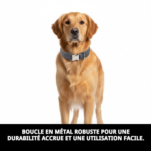 Collier en Nylon Confort pour Chiens 40-65 cm - Confort et Style