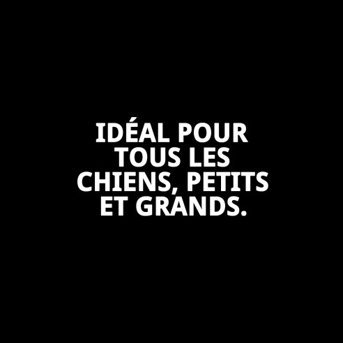 Harnais en Nylon Confort 2,5 cm pour Chiens - Achat en Ligne