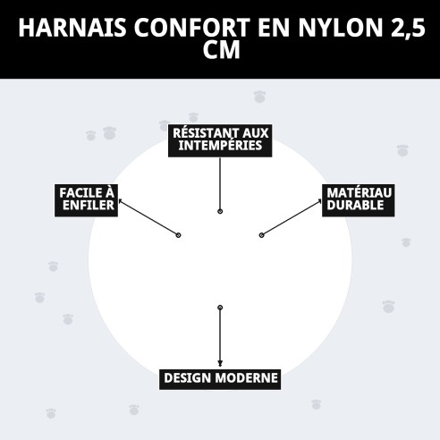 Harnais en Nylon Confort 2,5 cm pour Chiens - Achat en Ligne