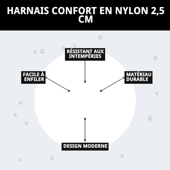 Harnais en Nylon Confort 2,5 cm pour Chiens - Achat en Ligne