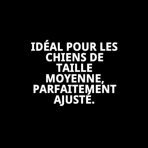 Harnais de sécurité et de promenade en nylon pour animaux de compagnie M