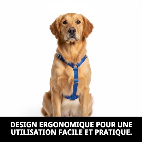 Harnais de sécurité et de promenade en nylon pour animaux de compagnie M