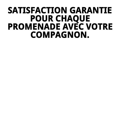 Harnais en nylon de sécurité pour promenade G pour animaux de compagnie.