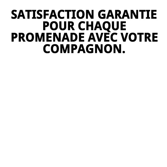 Harnais en nylon de sécurité pour promenade G pour animaux de compagnie.